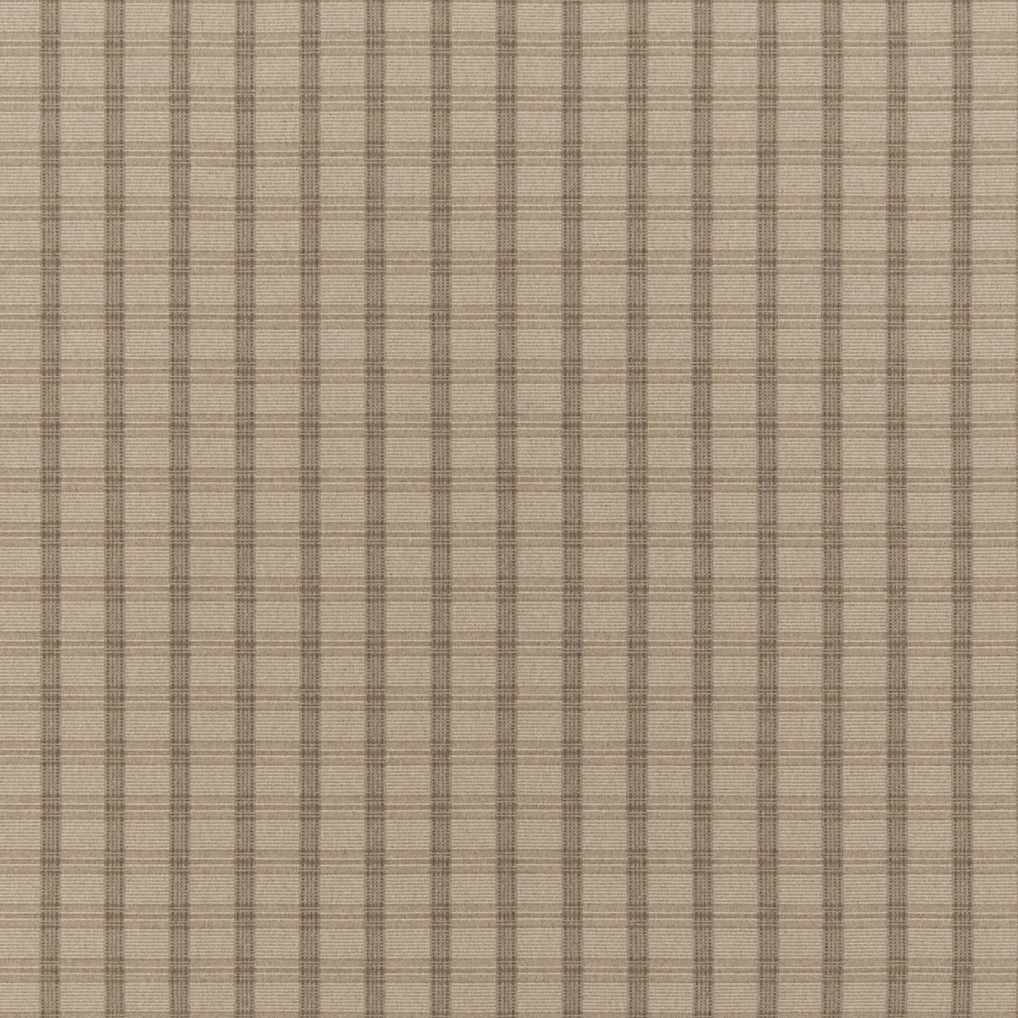 Irvine Velvet Carpet, Moccasin