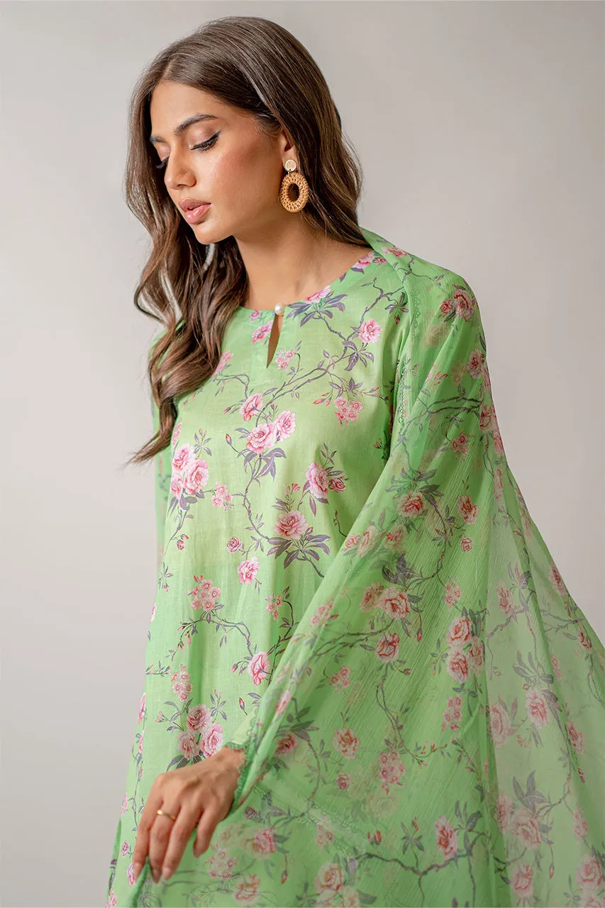 Unstitched '24 - Duchess 3 Piece