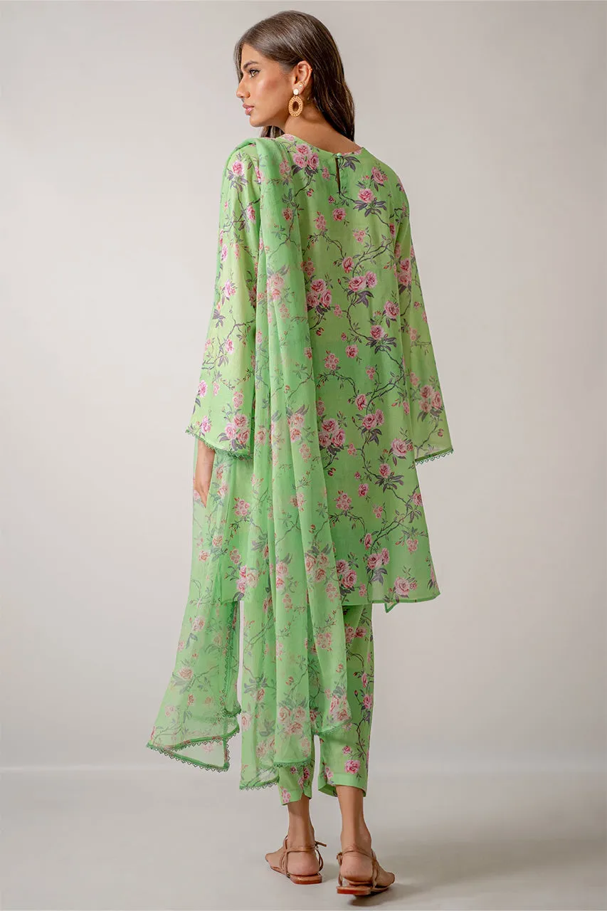 Unstitched '24 - Duchess 3 Piece