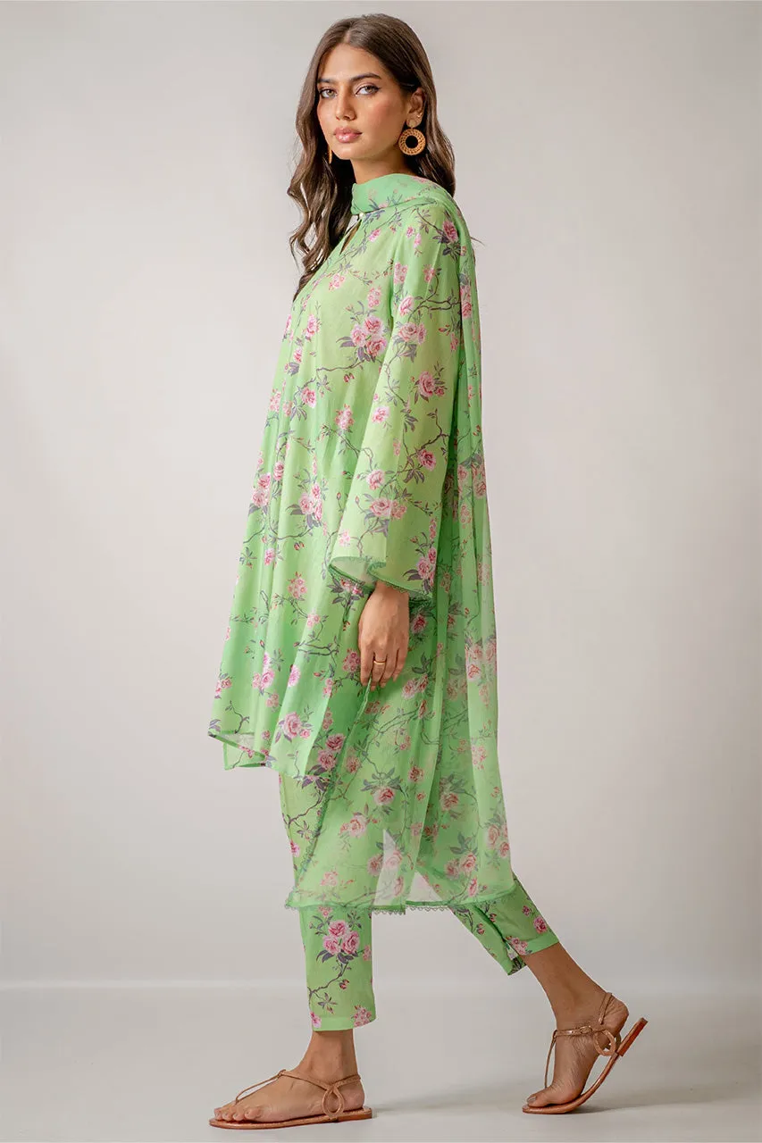 Unstitched '24 - Duchess 3 Piece